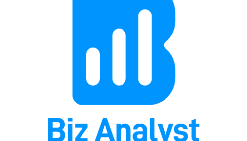Biz Analyst (Tally on mobile)